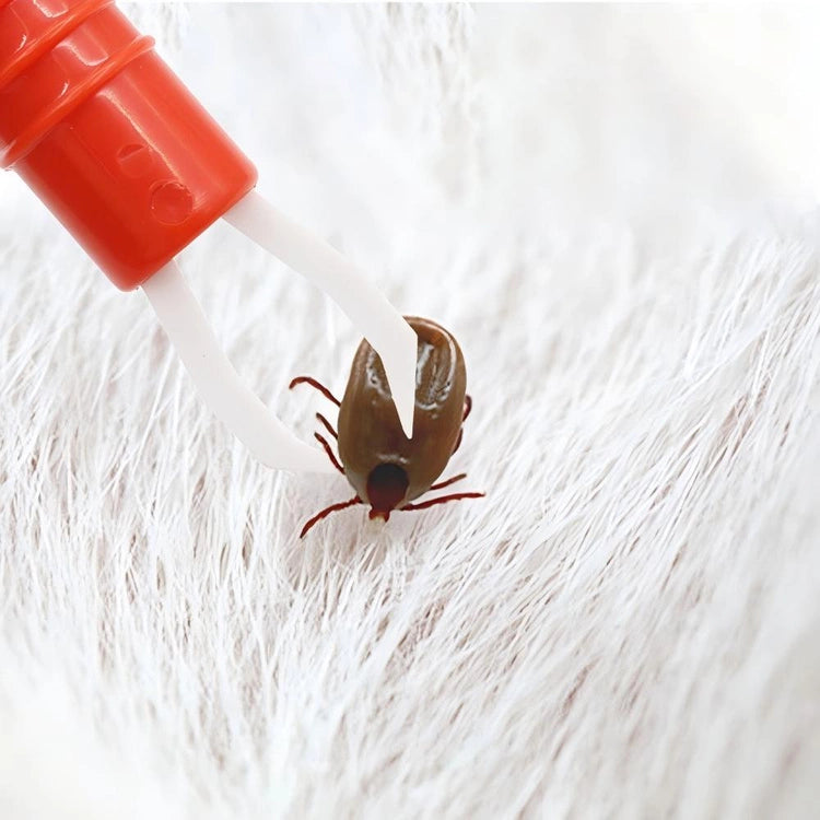 6cc0b6aa51e8a6a807e26b16cd1f409b