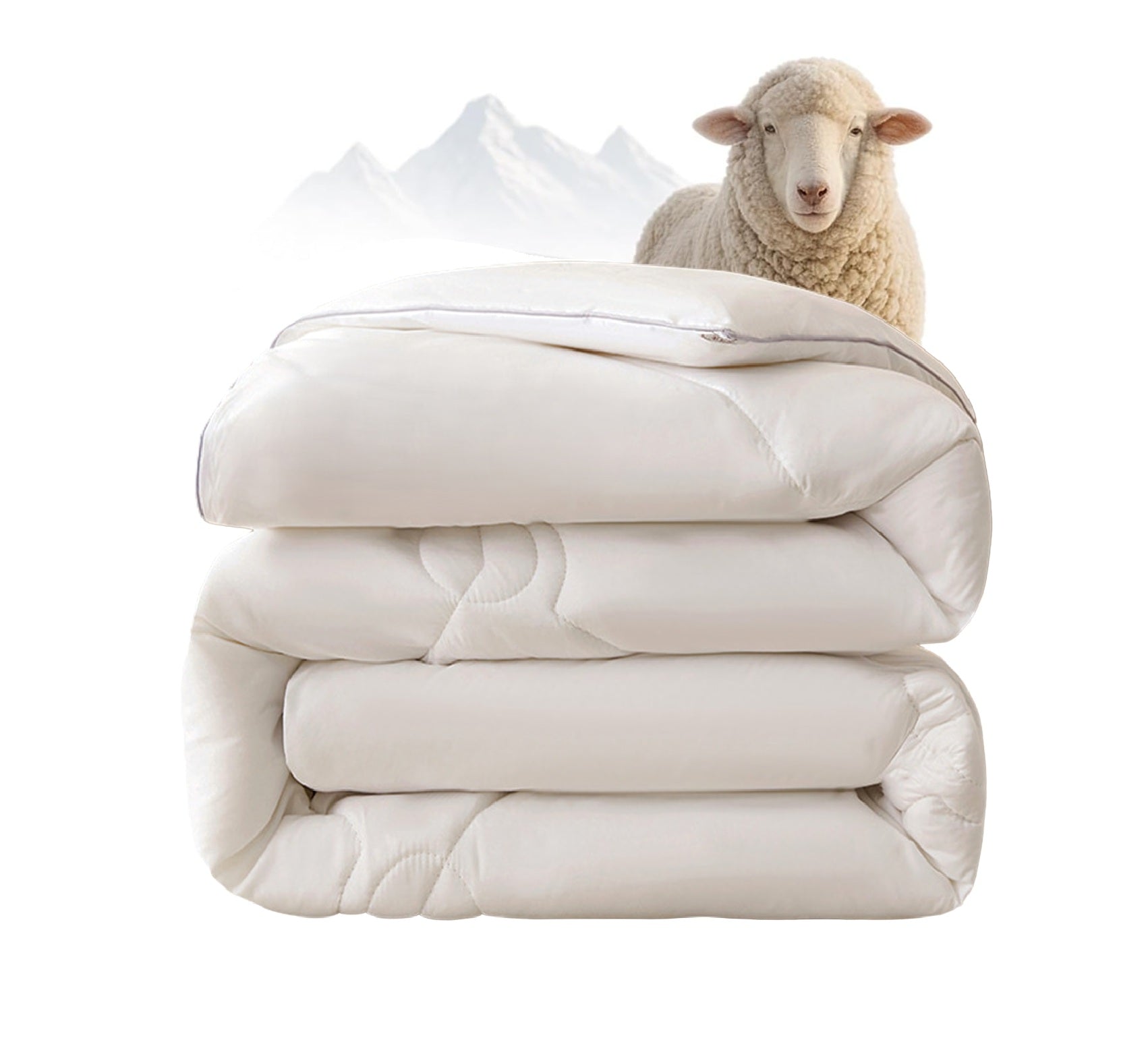 a58bd9cc7d993cf55d54d4016449c9ab