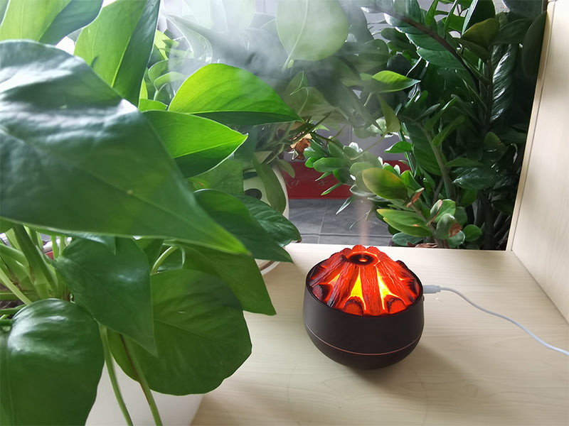 6c79cb7e08c295e5e6e00999fbc6b981