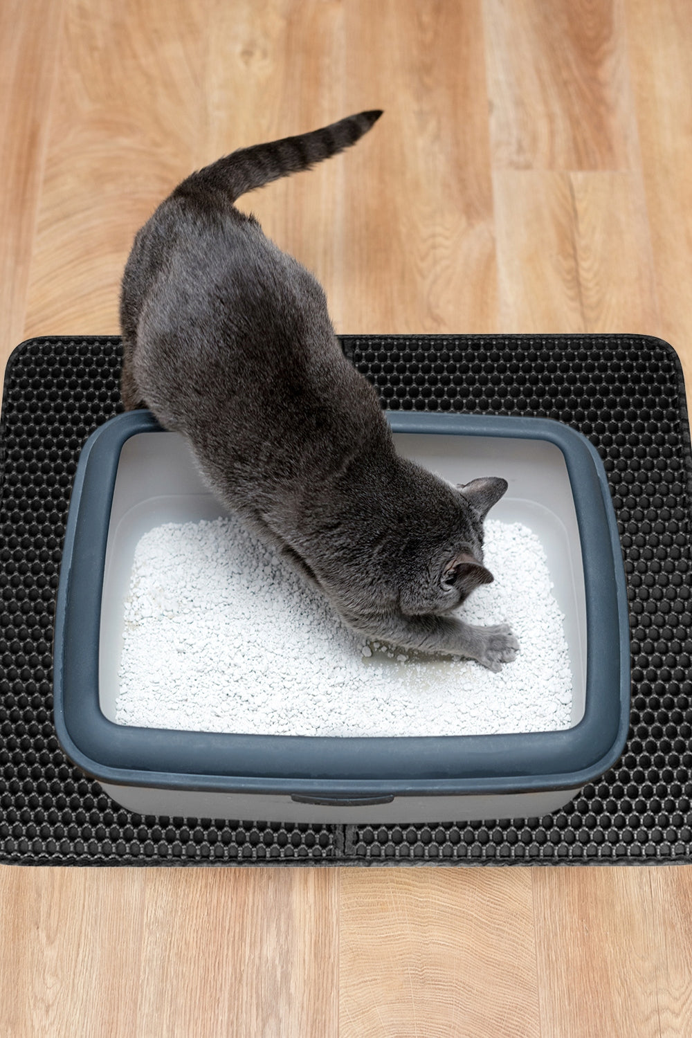 ab1140f333f4b2c9e316312f5fed7346