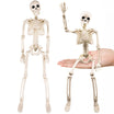 Schelet Hallowen