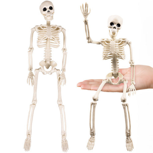 Decoratiune schelet de Halloween, Zola, 40 cm, cu agatatoare, ABS, alb