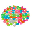 Multicolore