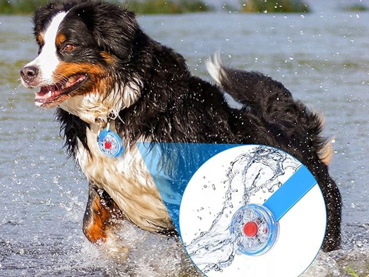 0cb3728e5f38eb59b77cdaf7f7326391