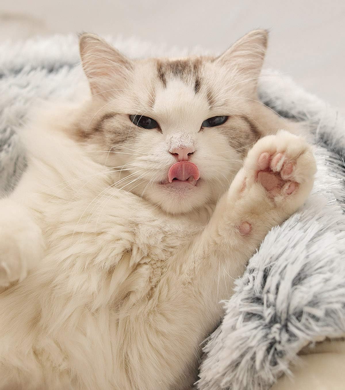 b4aa3e569628810d8c8451cafd2be5b6